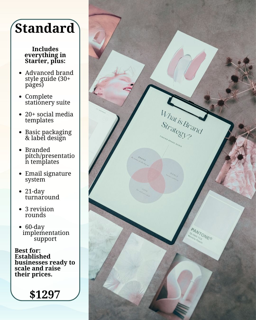 Brand Identity & Visual Design for Women Entrepreneurs | Cohesive Logos, Stationery & Style Guides