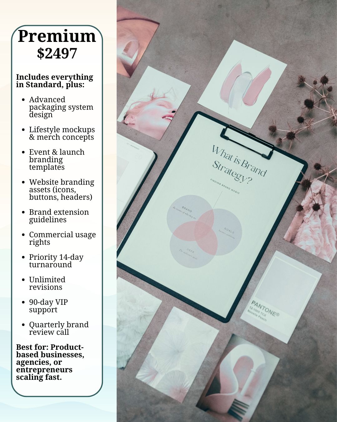 Brand Identity & Visual Design for Women Entrepreneurs | Cohesive Logos, Stationery & Style Guides